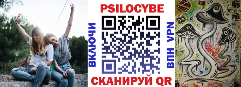 Галлюциногенные грибы Psilocybe хочу Рыльск